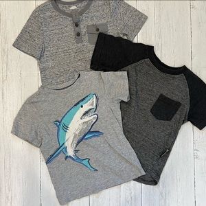 3/$15⭐️ 3 T-Shirts bundle. Old Navy & Carter Brand Size 4T